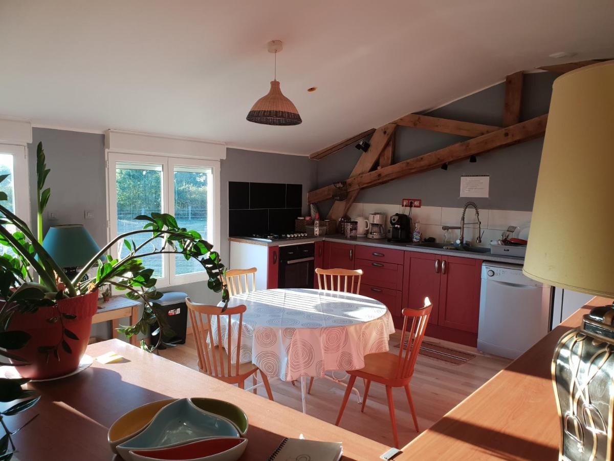 Chambre D'Hote De L'Elevage Du Lattay Les Hauts-d'Anjou ภายนอก รูปภาพ