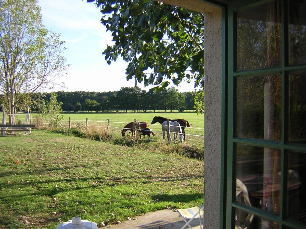 Chambre D'Hote De L'Elevage Du Lattay Les Hauts-d'Anjou ภายนอก รูปภาพ
